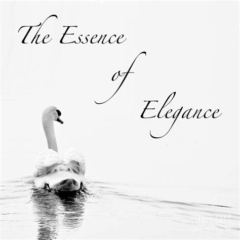 Discover the essence of elegance with 